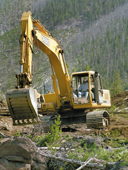 Crane Crane