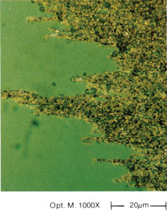 Chemical and corrosive wear Chemical and corrosive wear