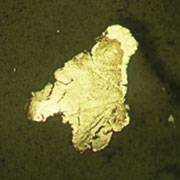 Platelet shaped particle Platelet shaped particle