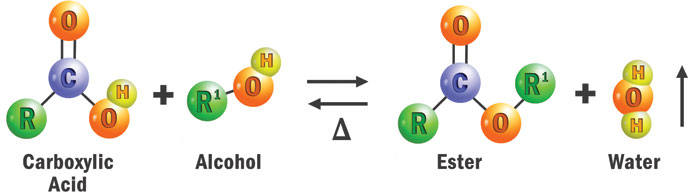 Figure 1. The esterification reaction Figure 1. The esterification reaction