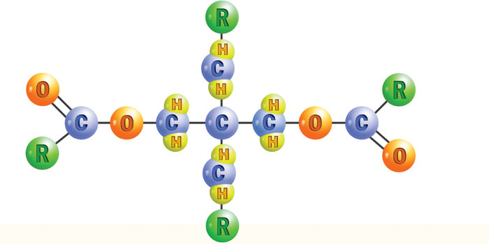 Figure 2. Polyol ester Figure 2. Polyol ester