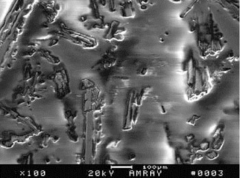 Figure 7. A highly magnified view of the Babbitt surface Figure 7. A highly magnified view of the Babbitt surface