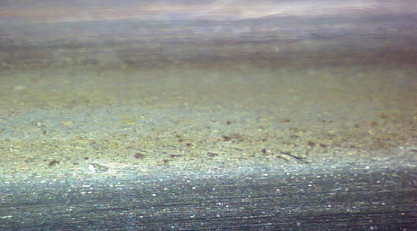 This picture is of an outboard bearing outer race. This picture is of an outboard bearing outer race.