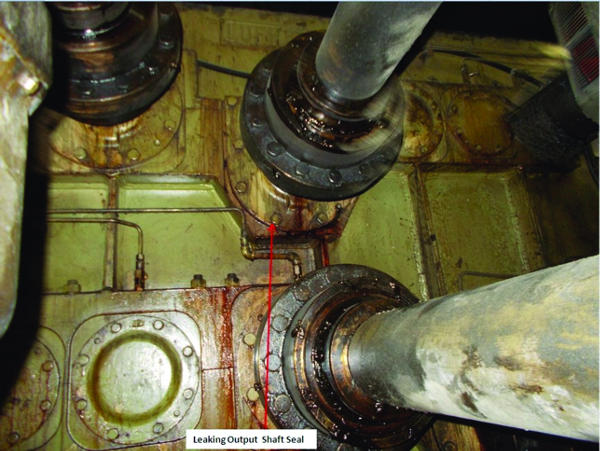 Figure 9. An example of&nbsp;leaking gearbox seals