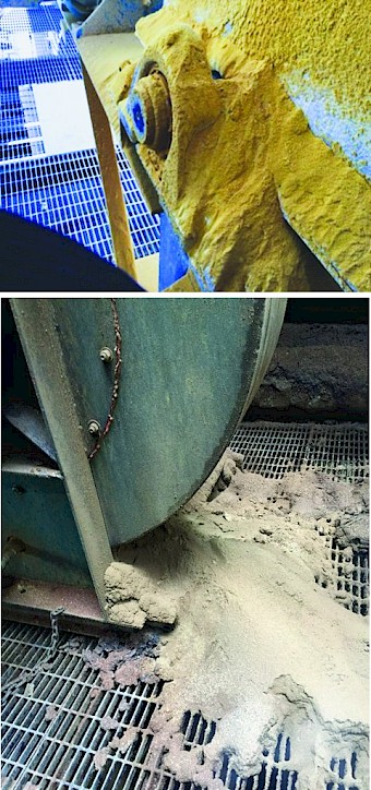 Contamination exclusion 6