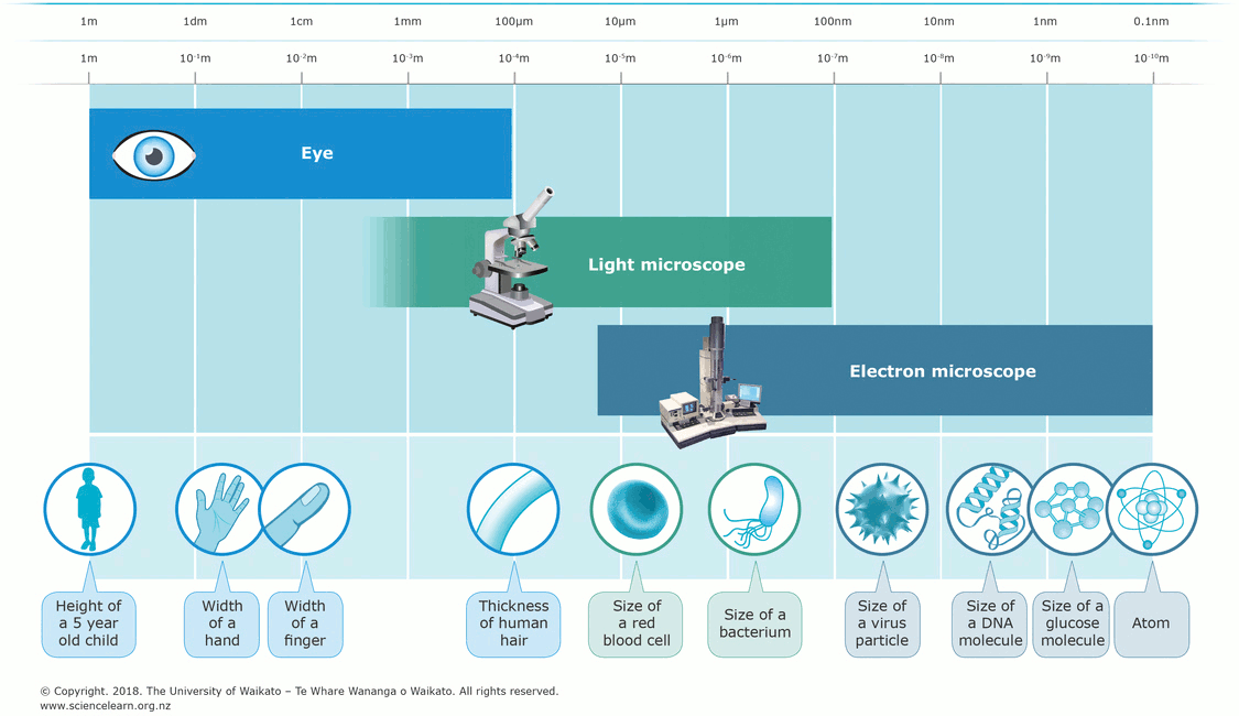 Wear debris analysis scale