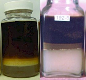 Water in oil 3