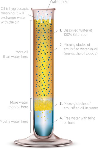 Water in oil 4