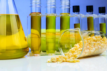 Bio lubricants 1