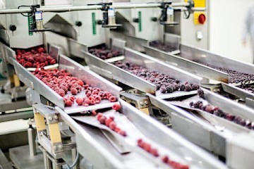 Food processing lubrication 1