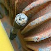 Machinery configuration grease