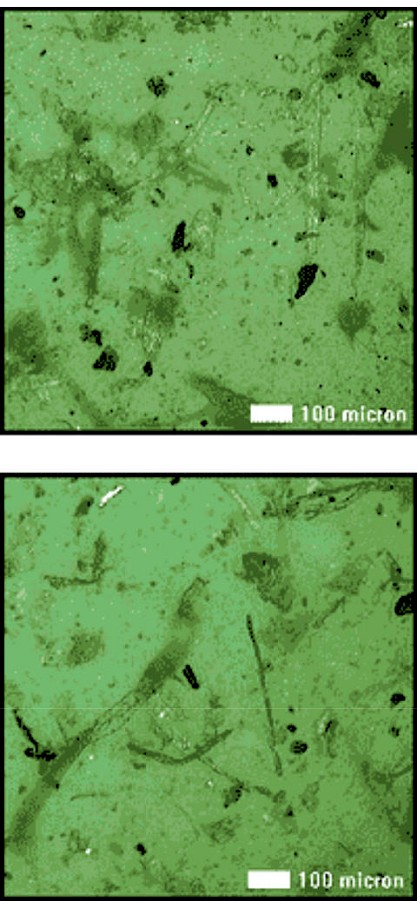 Oil analysis patch test 5