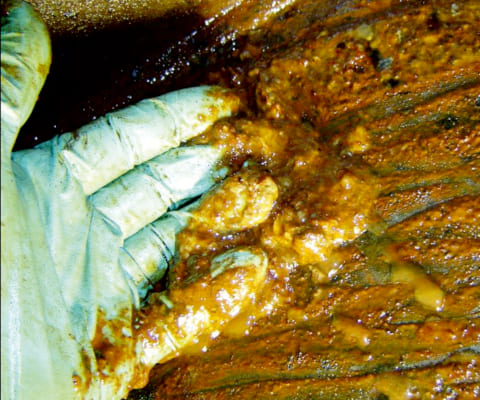 Sludge and Varnish