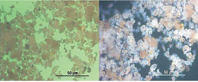 Figure 1. These two photomicrographs show turbine oil crystalline contaminants (1,000x magnification). 