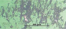 Figure 6. Photomicrograph showing high concentration of ferrous spheres (1,000x magnification) 