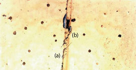 Figure 1. Cracked paint at the torque arm interface indicates movement (a). The 45-degree direction of the cracks (b) suggests the component on the right moved downward relative to the component on the left. 