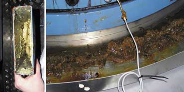 Figure 1. In *total loss* systems, grease is discharged to a catch-pan (left), exterior surface (right) or straight to the floor. Source: OilDoc