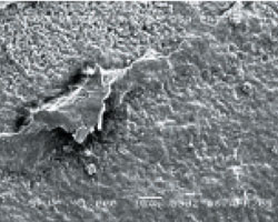 The same varnish material is shown at 1,000x magnification using a scanning electron microscope