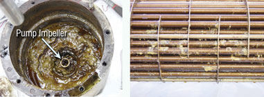 Biological growth, particulate and separated lubricant additives have collected on this pump (above left). The lube oil cooler on the right has biological growth and adhered lubricant additives.