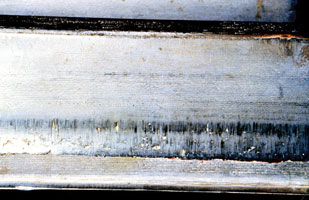 In this example, abrasion and scuffing have been caused by tip-to-root interference.