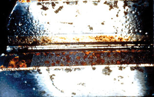 A lubricant contaminated with water produced corrosion on this helical gear.