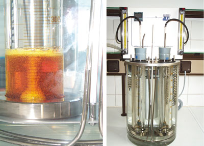 Figure 1. Foaming characteristics test (ASTM D892)