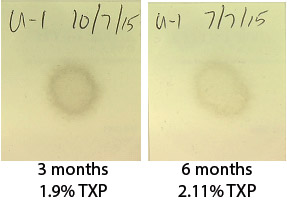 Blotter spot testing to determine organic and solid insolubles