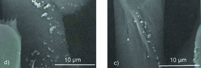 Submicron particles adhere to the surfaces and crevices on special cellulose fibers.