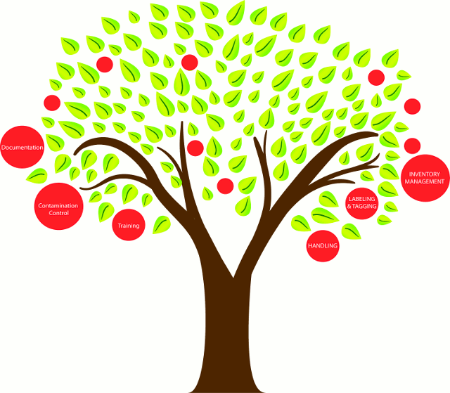 Identifying the Low-Hanging Fruit in Your Lubrication Program