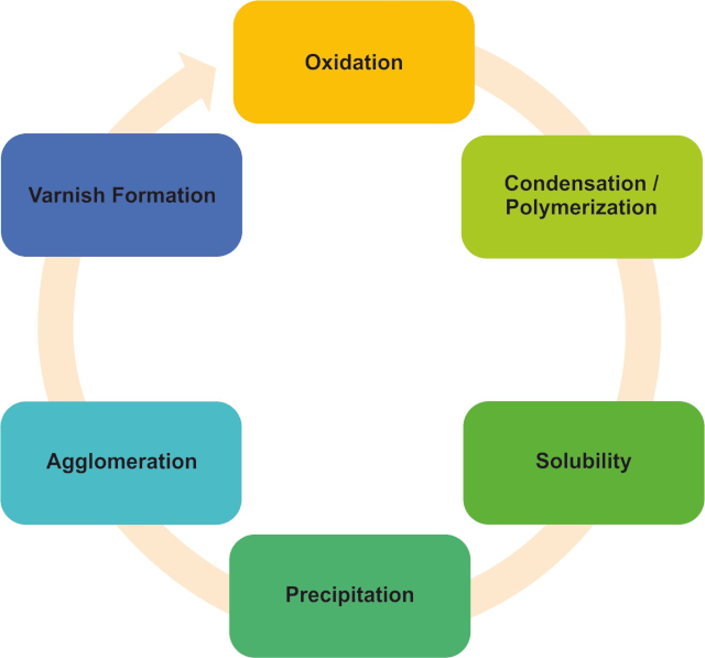 Figure 2. Varnish formation cycle