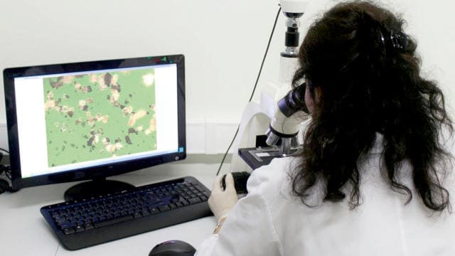 The Importance of Oil Analysis and Particle Counting